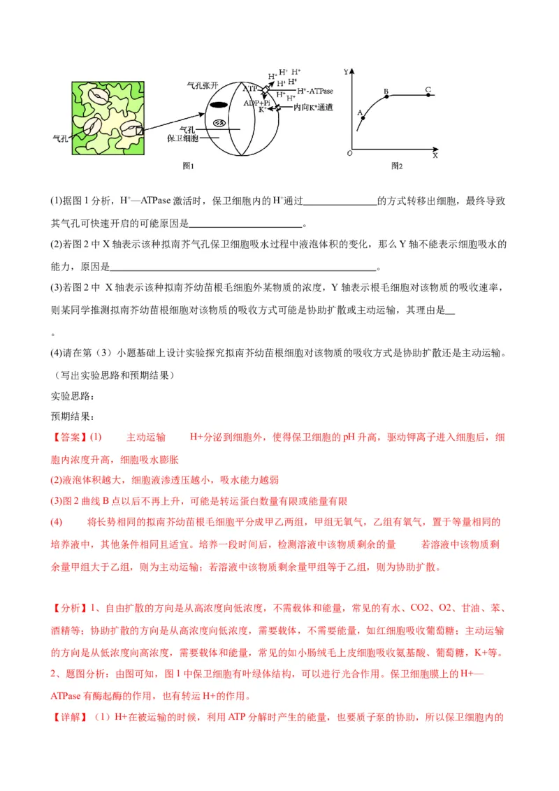 专题7物质运输（解析版)_2024年新高考资料_3.2024专项复习_备战2024年高考生物一轮复习重难点专项突破_专题07物质运输-备战2024年高考生物一轮复习重难点专项突破
