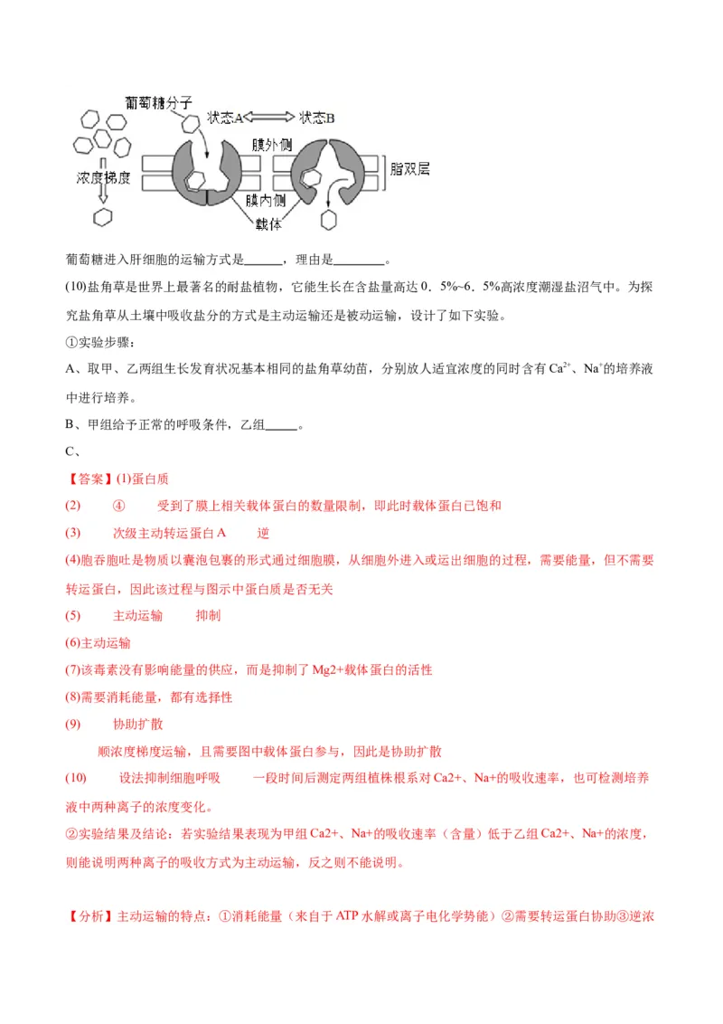 专题7物质运输（解析版)_2024年新高考资料_3.2024专项复习_备战2024年高考生物一轮复习重难点专项突破_专题07物质运输-备战2024年高考生物一轮复习重难点专项突破