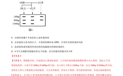 专题07伴性遗传与人类遗传病（解析版）_2024年新高考资料_3.2024专项复习_备战2024年高考生物一轮复习重难点突破讲解与训练（新教材）
