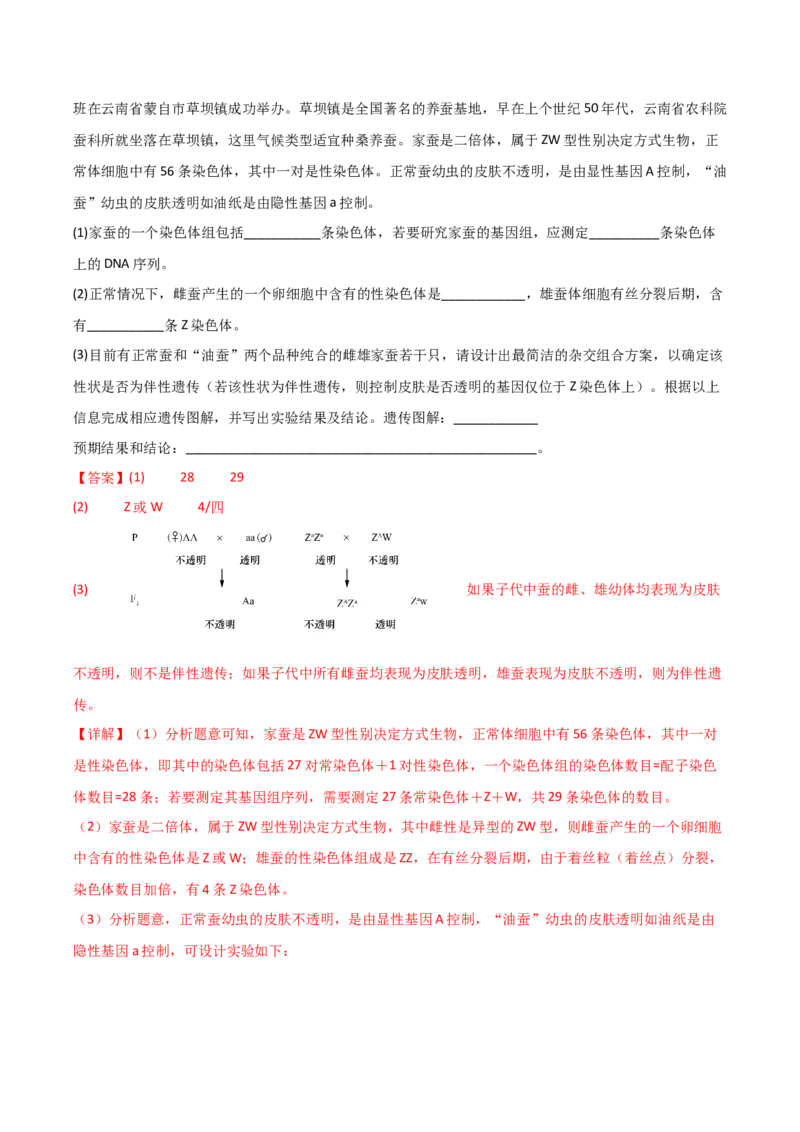 专题07伴性遗传与人类遗传病（解析版）_2024年新高考资料_3.2024专项复习_备战2024年高考生物一轮复习重难点突破讲解与训练（新教材）