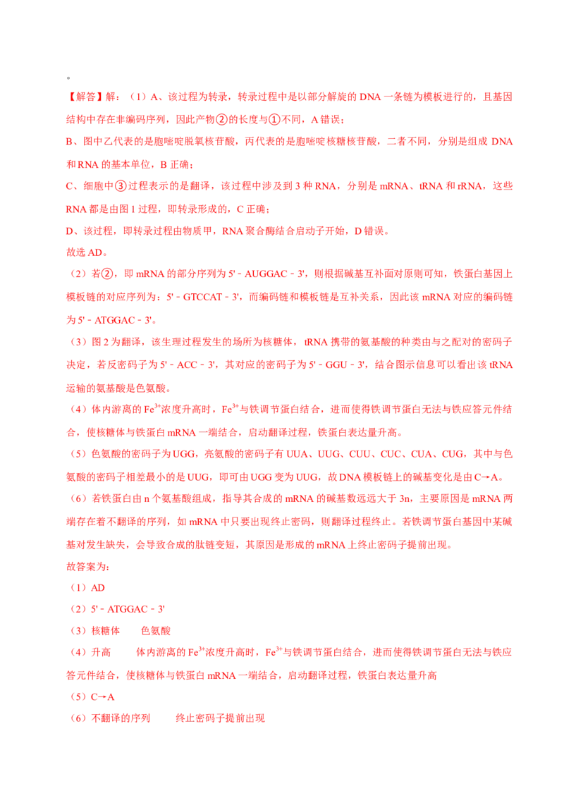 专题04遗传信息的传递与表达（解析版）_2024年新高考资料_3.2024专项复习_2024年高考生物热点&middot;重点&middot;难点专练（上海专用）