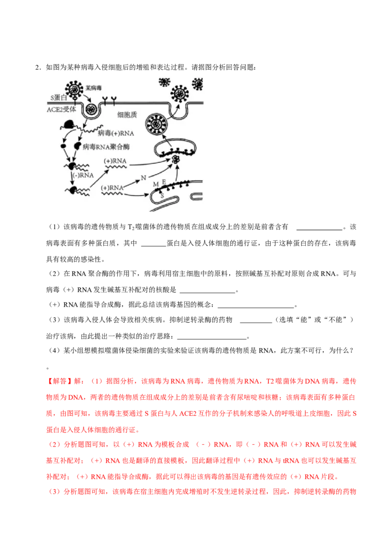 专题04遗传信息的传递与表达（解析版）_2024年新高考资料_3.2024专项复习_2024年高考生物热点&middot;重点&middot;难点专练（上海专用）
