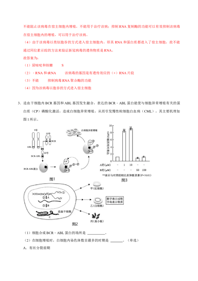 专题04遗传信息的传递与表达（解析版）_2024年新高考资料_3.2024专项复习_2024年高考生物热点&middot;重点&middot;难点专练（上海专用）