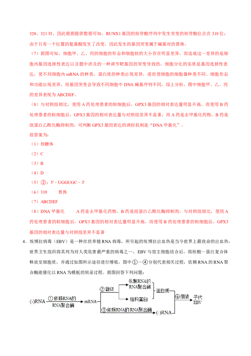 专题04遗传信息的传递与表达（解析版）_2024年新高考资料_3.2024专项复习_2024年高考生物热点&middot;重点&middot;难点专练（上海专用）