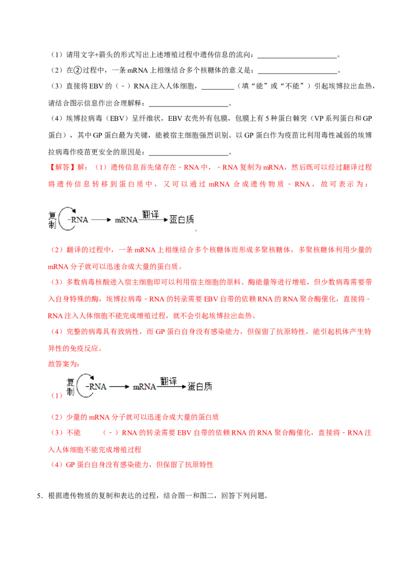 专题04遗传信息的传递与表达（解析版）_2024年新高考资料_3.2024专项复习_2024年高考生物热点&middot;重点&middot;难点专练（上海专用）