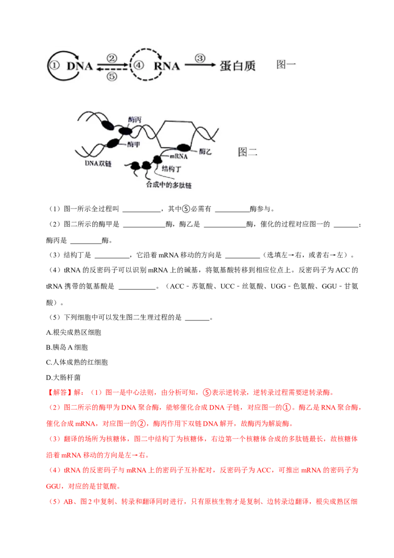 专题04遗传信息的传递与表达（解析版）_2024年新高考资料_3.2024专项复习_2024年高考生物热点&middot;重点&middot;难点专练（上海专用）