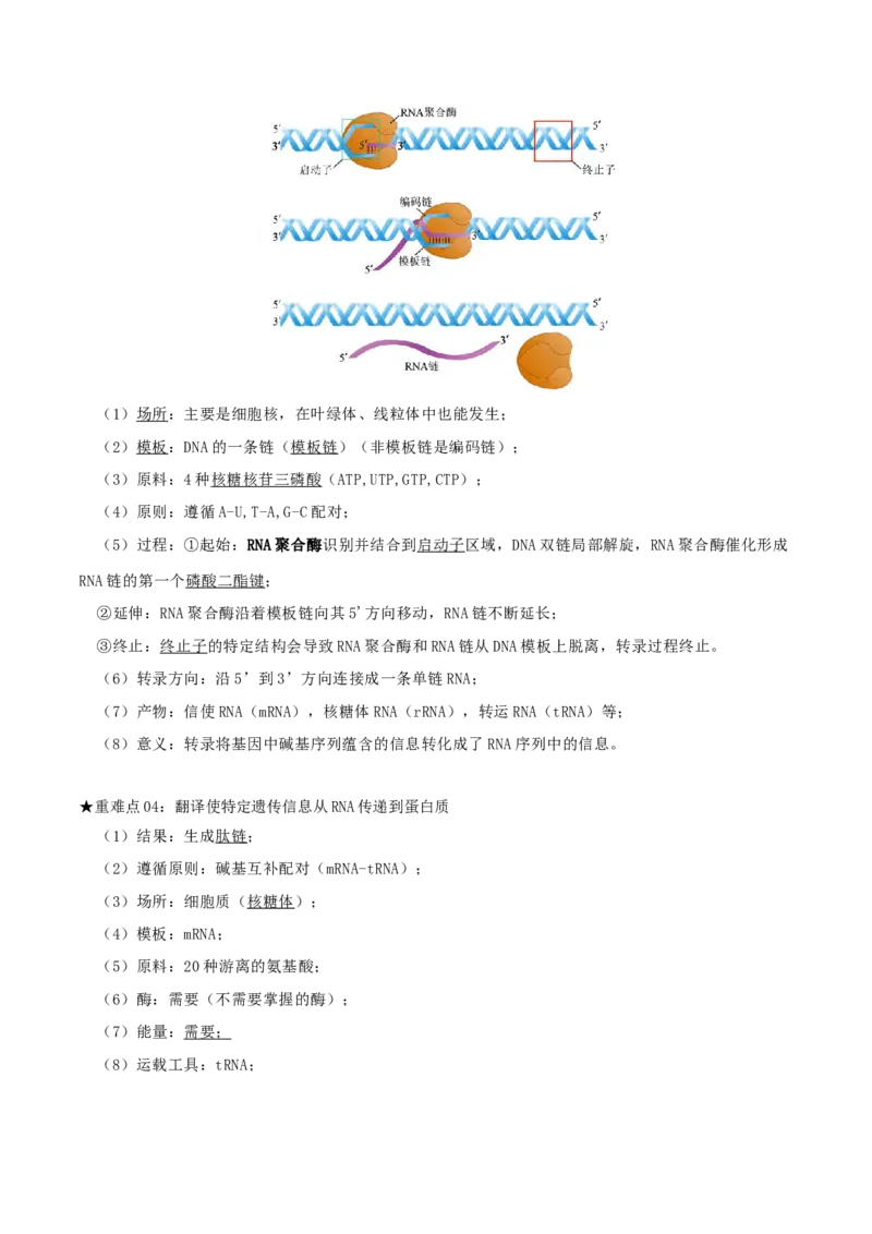 专题04遗传信息的传递与表达（解析版）_2024年新高考资料_3.2024专项复习_2024年高考生物热点&middot;重点&middot;难点专练（上海专用）