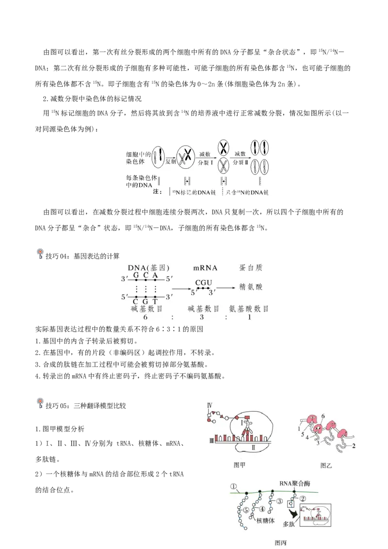 专题04遗传信息的传递与表达（解析版）_2024年新高考资料_3.2024专项复习_2024年高考生物热点&middot;重点&middot;难点专练（上海专用）