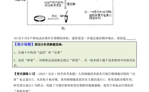 专题10生物技术与工程（原卷版）_2024年新高考资料_2.2024二轮复习_2024年高考生物二轮热点题型归纳与变式演练（新高考通用）
