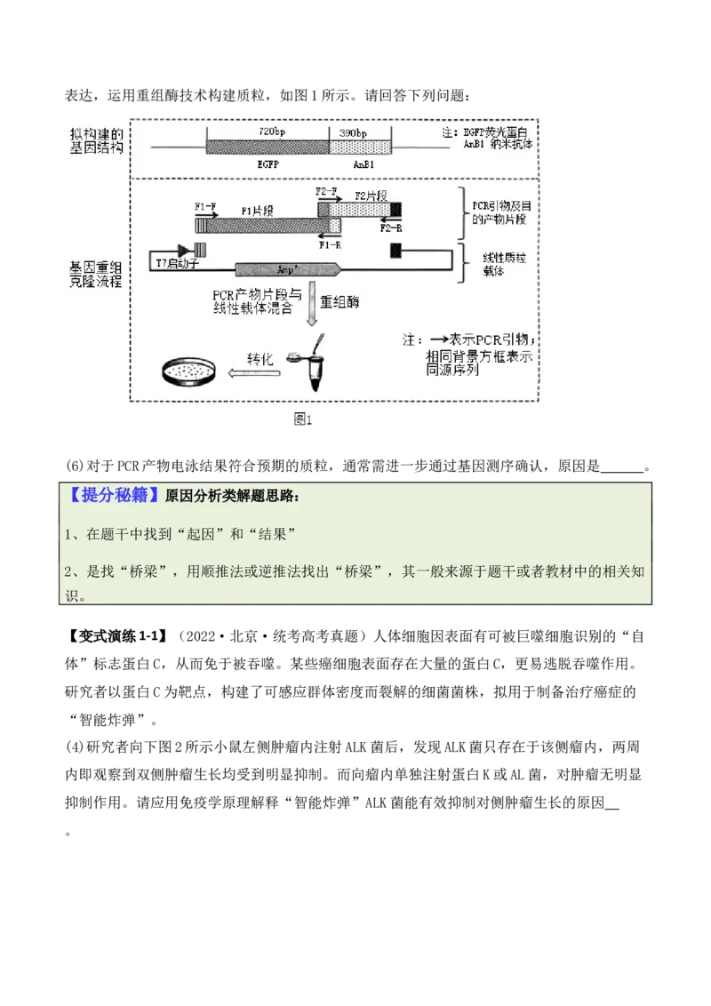 专题10生物技术与工程（原卷版）_2024年新高考资料_2.2024二轮复习_2024年高考生物二轮热点题型归纳与变式演练（新高考通用）