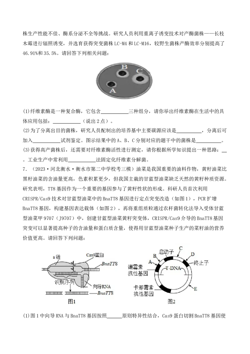 专题10生物技术与工程（原卷版）_2024年新高考资料_2.2024二轮复习_2024年高考生物二轮热点题型归纳与变式演练（新高考通用）