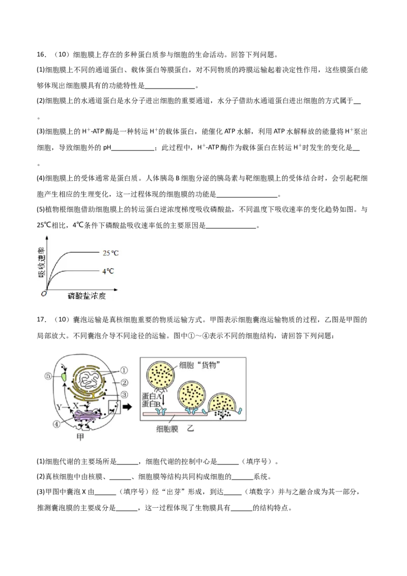单元检测卷02细胞的结构、功能和物质运输（原卷版）_2024年新高考资料_1.2024一轮复习_2024年高考生物一轮复习考点通关卷（新高考通用）