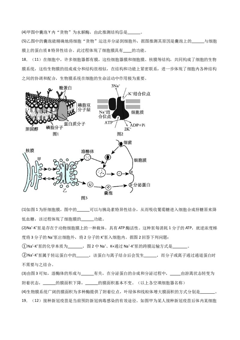 单元检测卷02细胞的结构、功能和物质运输（原卷版）_2024年新高考资料_1.2024一轮复习_2024年高考生物一轮复习考点通关卷（新高考通用）