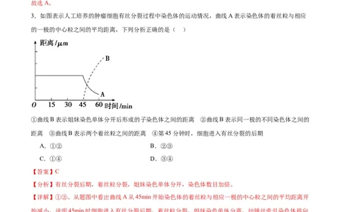 专题12细胞增殖（解析版)_2024年新高考资料_3.2024专项复习_备战2024年高考生物一轮复习重难点专项突破_专题12细胞增殖