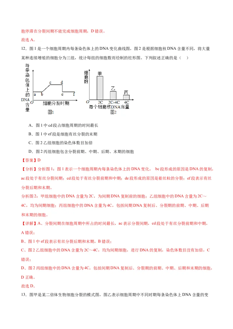 专题12细胞增殖（解析版)_2024年新高考资料_3.2024专项复习_备战2024年高考生物一轮复习重难点专项突破_专题12细胞增殖