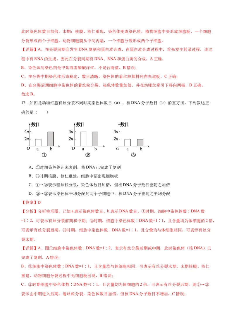 专题12细胞增殖（解析版)_2024年新高考资料_3.2024专项复习_备战2024年高考生物一轮复习重难点专项突破_专题12细胞增殖
