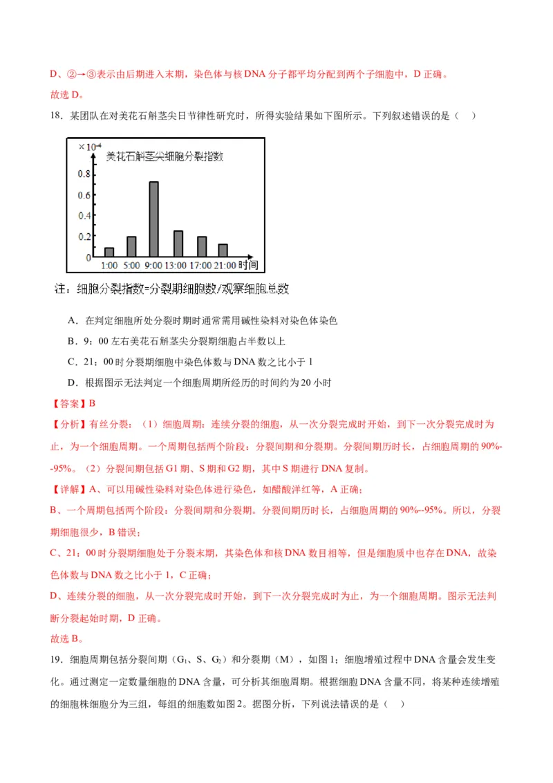 专题12细胞增殖（解析版)_2024年新高考资料_3.2024专项复习_备战2024年高考生物一轮复习重难点专项突破_专题12细胞增殖