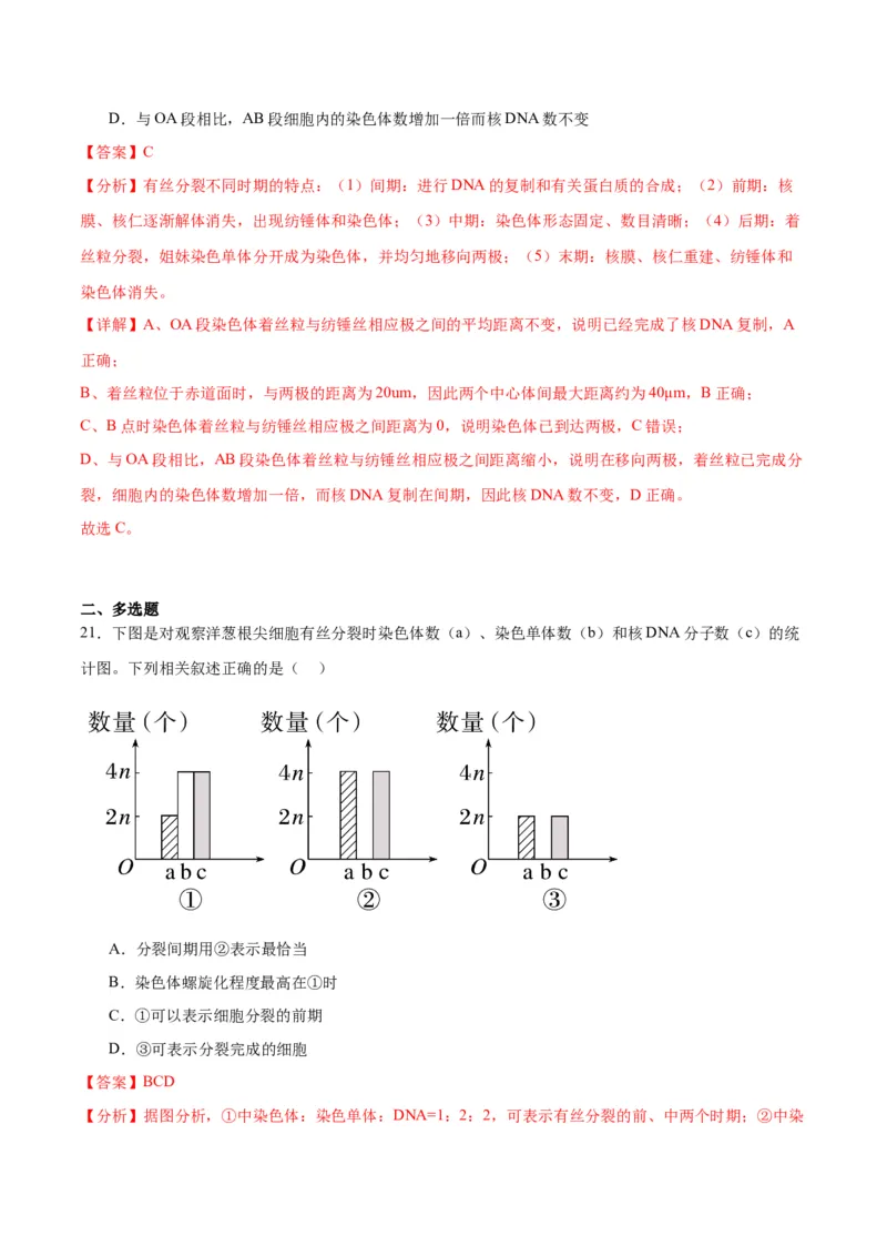 专题12细胞增殖（解析版)_2024年新高考资料_3.2024专项复习_备战2024年高考生物一轮复习重难点专项突破_专题12细胞增殖