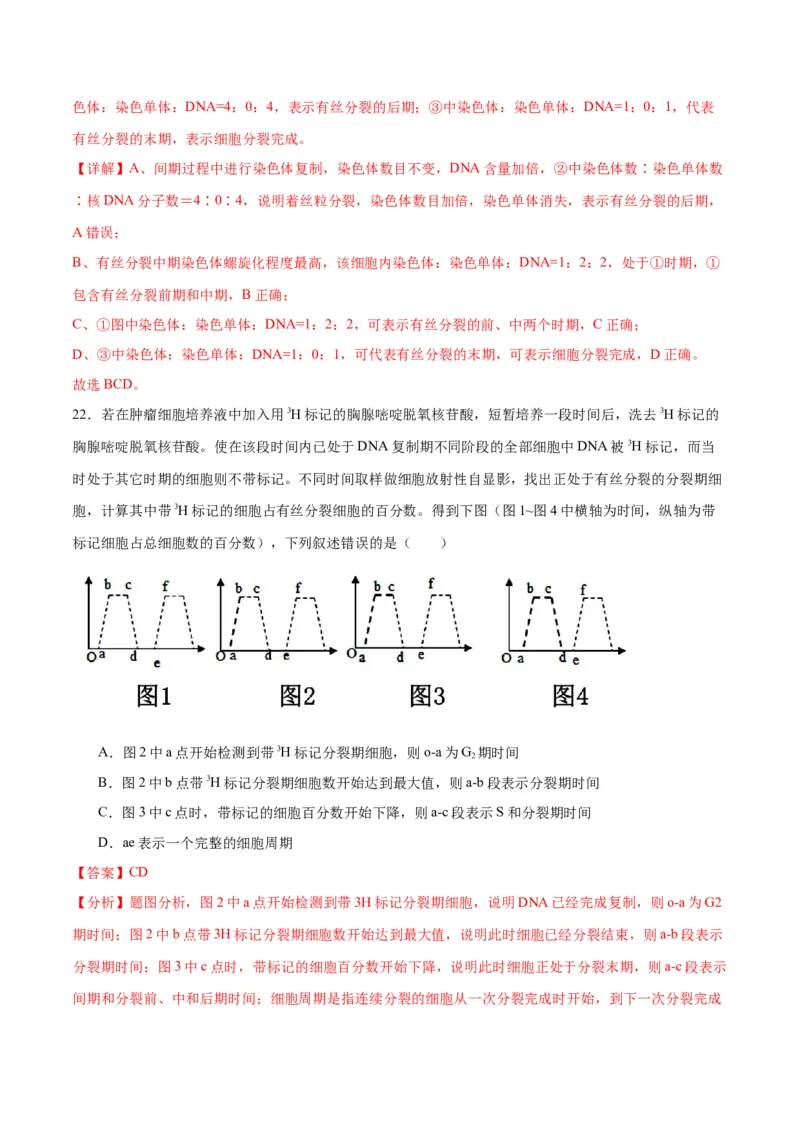 专题12细胞增殖（解析版)_2024年新高考资料_3.2024专项复习_备战2024年高考生物一轮复习重难点专项突破_专题12细胞增殖