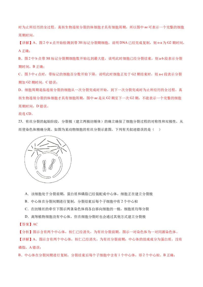 专题12细胞增殖（解析版)_2024年新高考资料_3.2024专项复习_备战2024年高考生物一轮复习重难点专项突破_专题12细胞增殖