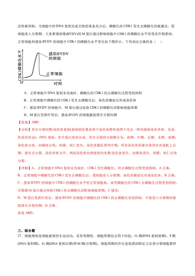 专题12细胞增殖（解析版)_2024年新高考资料_3.2024专项复习_备战2024年高考生物一轮复习重难点专项突破_专题12细胞增殖