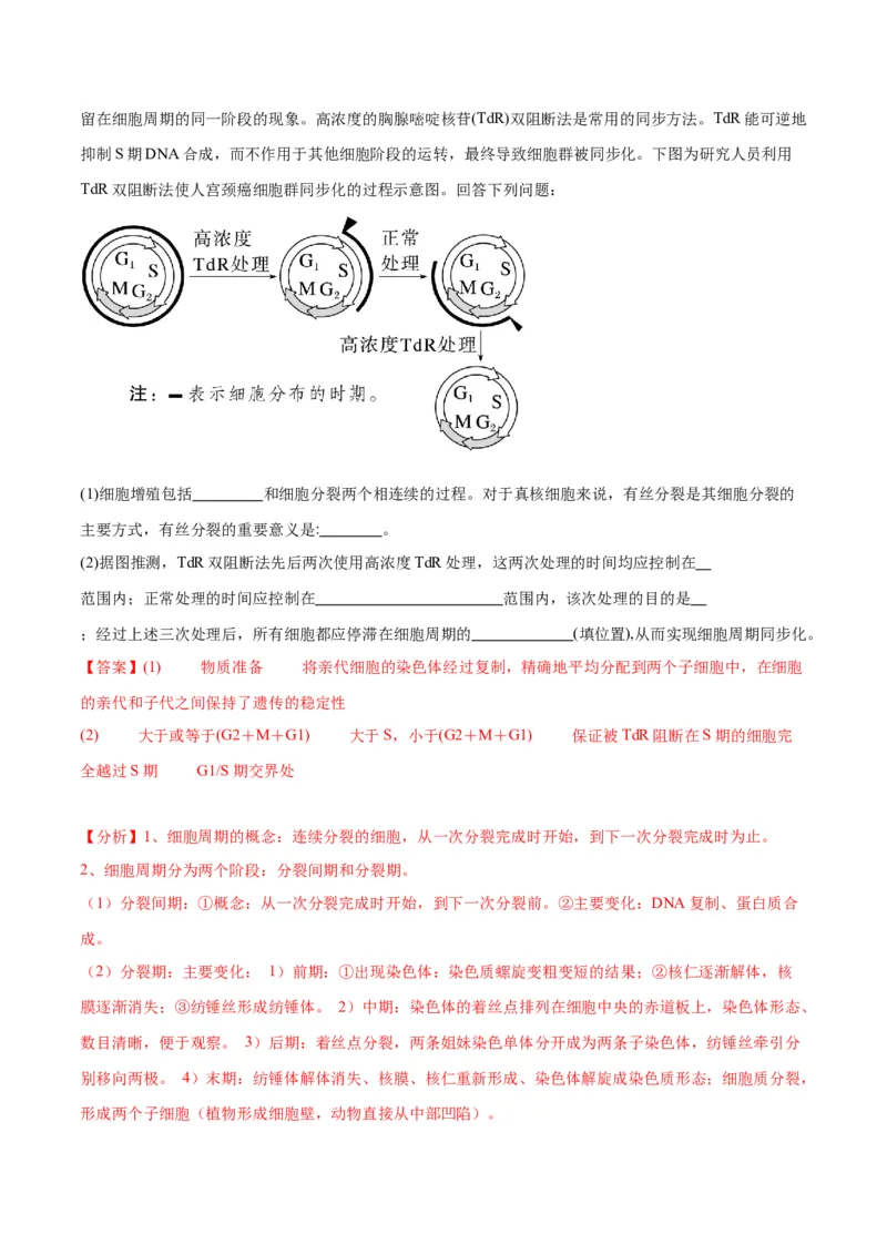 专题12细胞增殖（解析版)_2024年新高考资料_3.2024专项复习_备战2024年高考生物一轮复习重难点专项突破_专题12细胞增殖