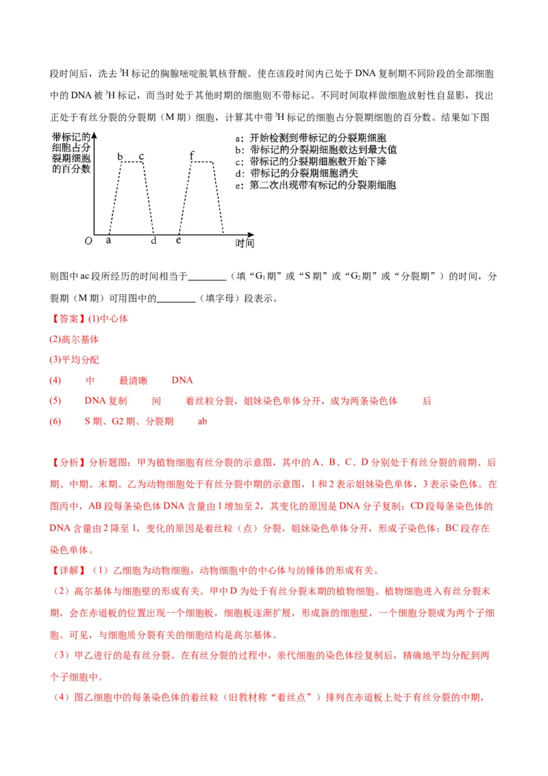 专题12细胞增殖（解析版)_2024年新高考资料_3.2024专项复习_备战2024年高考生物一轮复习重难点专项突破_专题12细胞增殖