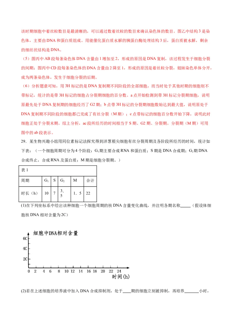 专题12细胞增殖（解析版)_2024年新高考资料_3.2024专项复习_备战2024年高考生物一轮复习重难点专项突破_专题12细胞增殖