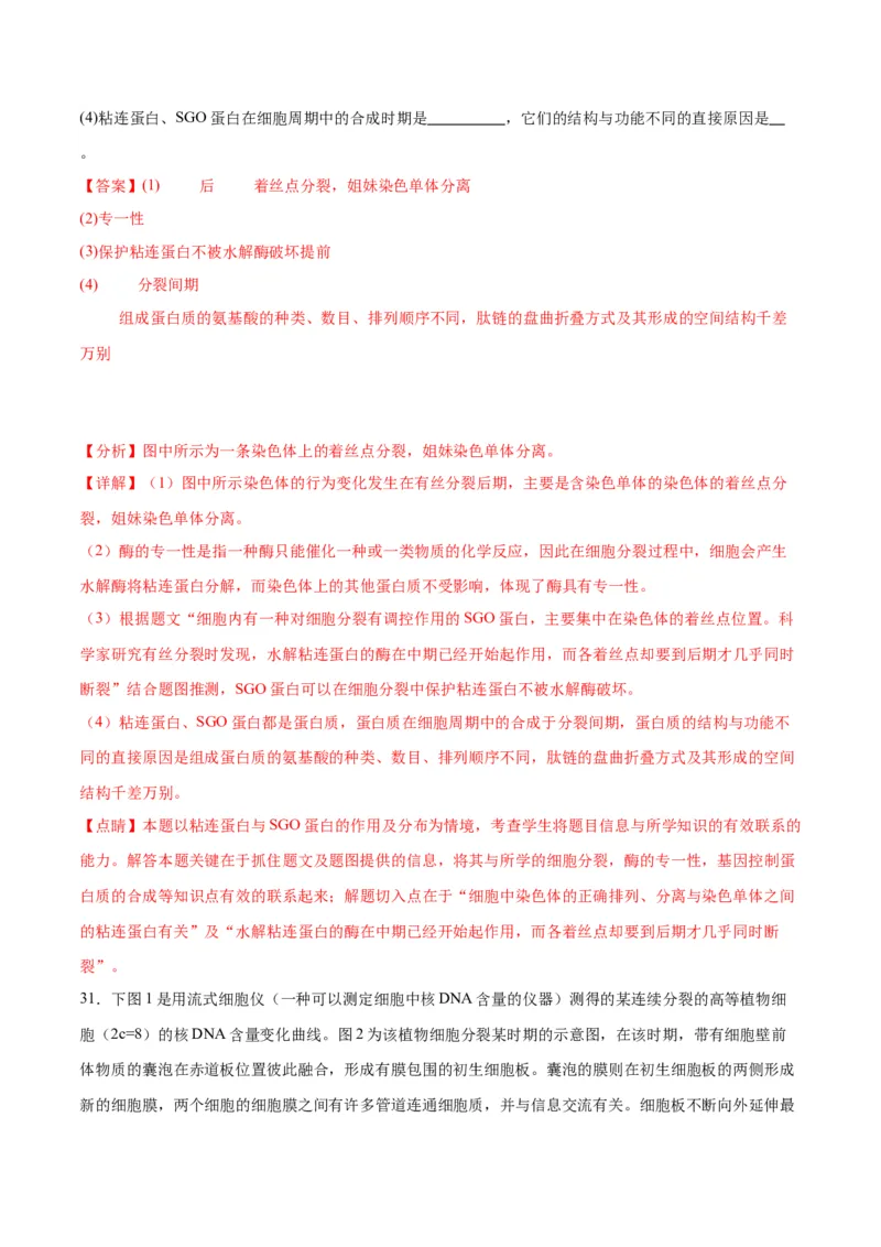 专题12细胞增殖（解析版)_2024年新高考资料_3.2024专项复习_备战2024年高考生物一轮复习重难点专项突破_专题12细胞增殖