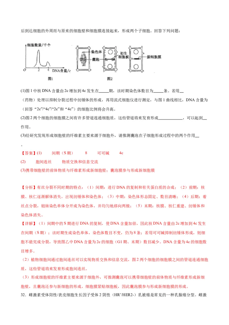 专题12细胞增殖（解析版)_2024年新高考资料_3.2024专项复习_备战2024年高考生物一轮复习重难点专项突破_专题12细胞增殖
