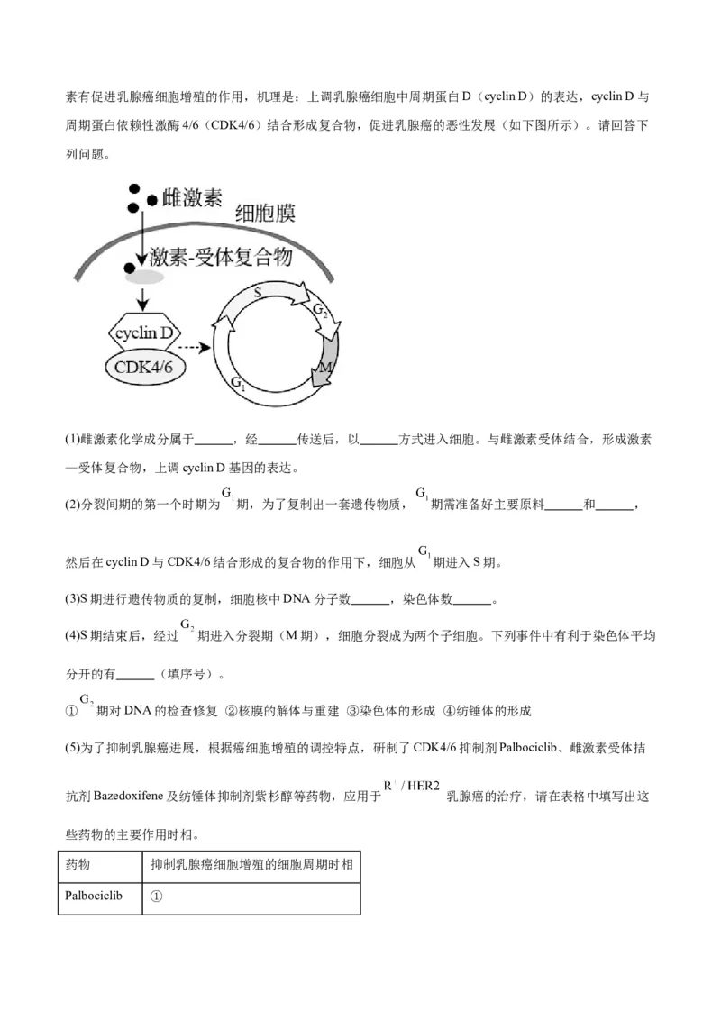 专题12细胞增殖（解析版)_2024年新高考资料_3.2024专项复习_备战2024年高考生物一轮复习重难点专项突破_专题12细胞增殖
