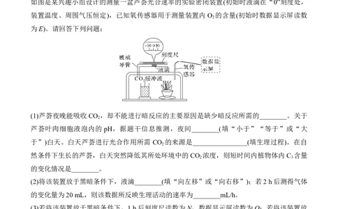 专题一光合作用与呼吸作用重难集训（原卷版）_2024年新高考资料_5.2024三轮冲刺_2024年高考生物考前最后冲刺