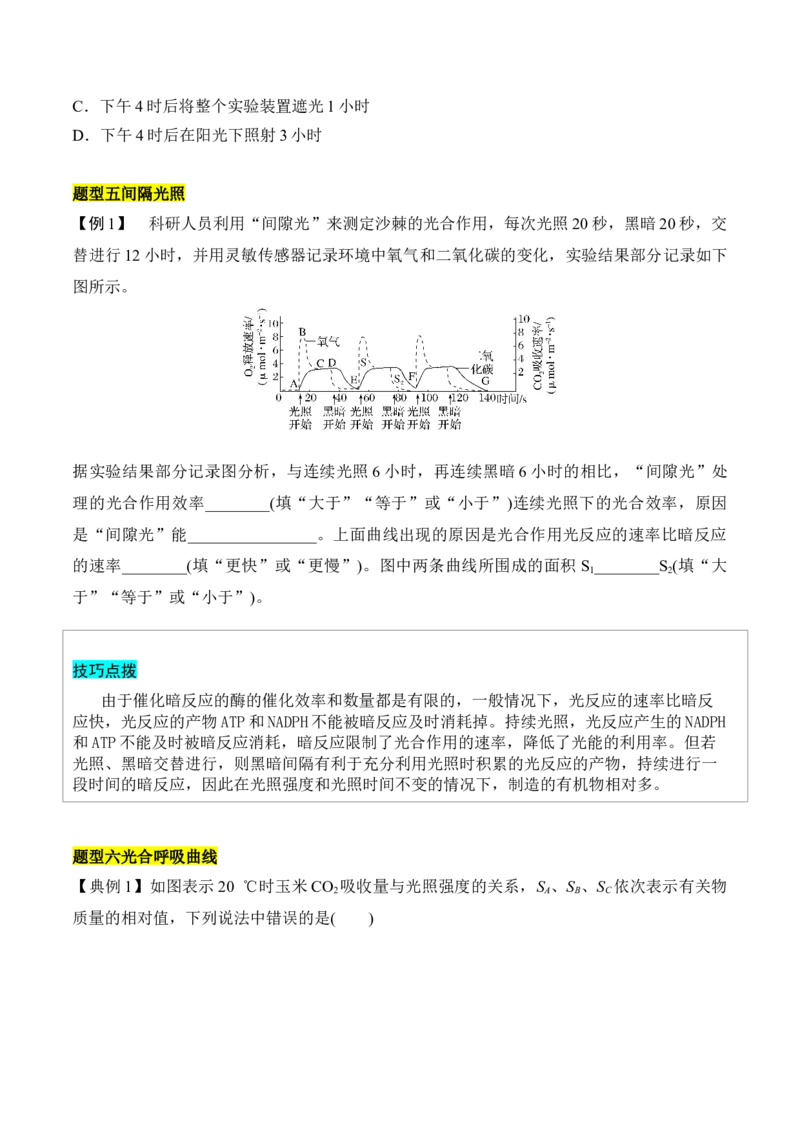 专题一光合作用与呼吸作用重难集训（原卷版）_2024年新高考资料_5.2024三轮冲刺_2024年高考生物考前最后冲刺
