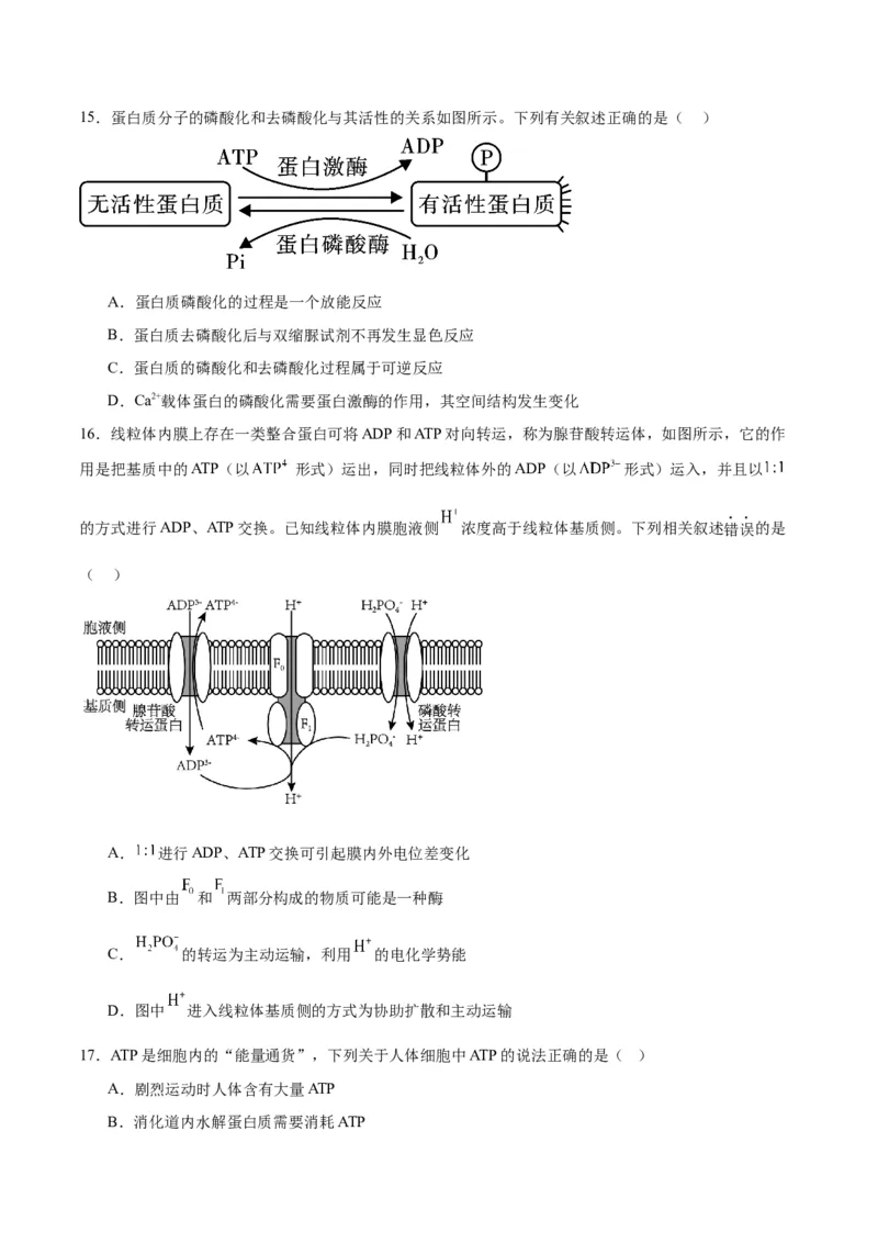 专题8酶和ATP（原卷版)_2024年新高考资料_3.2024专项复习_备战2024年高考生物一轮复习重难点专项突破_专题08酶和ATP-备战2024年高考生物一轮复习重难点专项突破