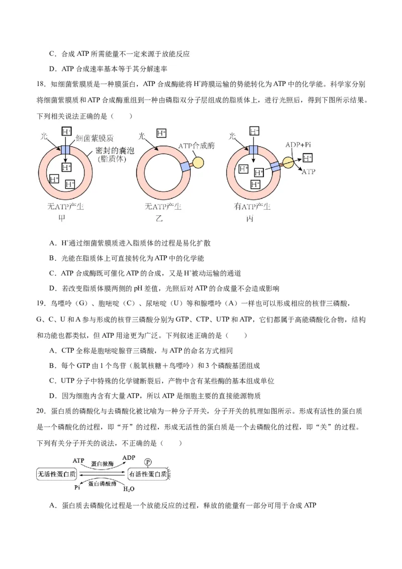 专题8酶和ATP（原卷版)_2024年新高考资料_3.2024专项复习_备战2024年高考生物一轮复习重难点专项突破_专题08酶和ATP-备战2024年高考生物一轮复习重难点专项突破