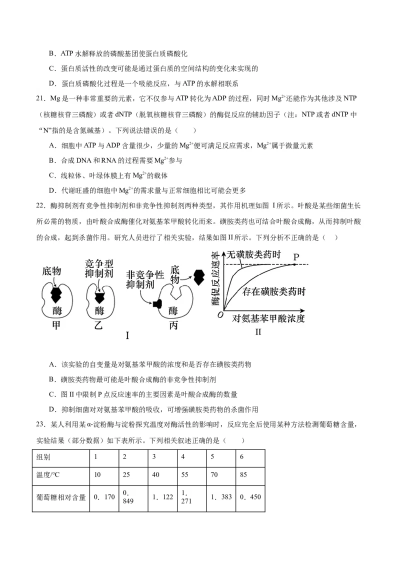 专题8酶和ATP（原卷版)_2024年新高考资料_3.2024专项复习_备战2024年高考生物一轮复习重难点专项突破_专题08酶和ATP-备战2024年高考生物一轮复习重难点专项突破