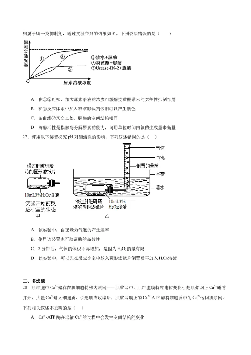 专题8酶和ATP（原卷版)_2024年新高考资料_3.2024专项复习_备战2024年高考生物一轮复习重难点专项突破_专题08酶和ATP-备战2024年高考生物一轮复习重难点专项突破