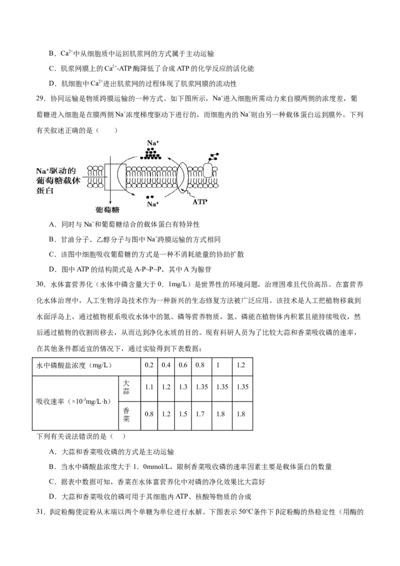 专题8酶和ATP（原卷版)_2024年新高考资料_3.2024专项复习_备战2024年高考生物一轮复习重难点专项突破_专题08酶和ATP-备战2024年高考生物一轮复习重难点专项突破