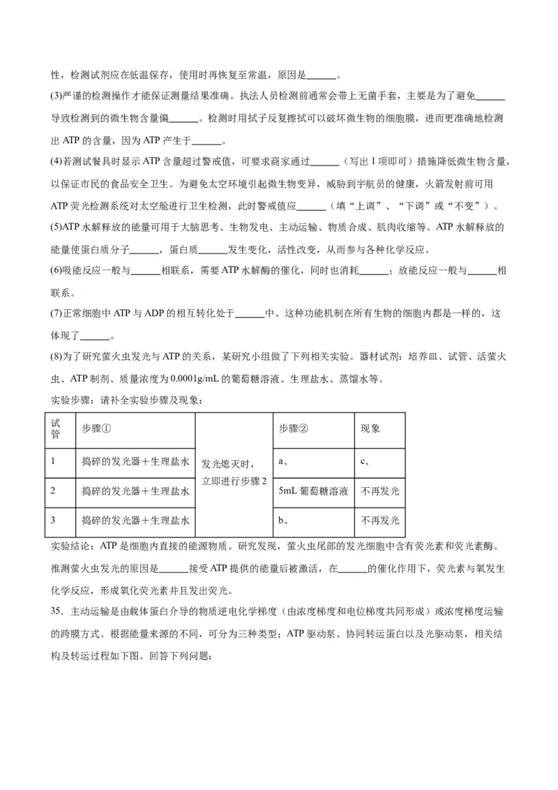 专题8酶和ATP（原卷版)_2024年新高考资料_3.2024专项复习_备战2024年高考生物一轮复习重难点专项突破_专题08酶和ATP-备战2024年高考生物一轮复习重难点专项突破