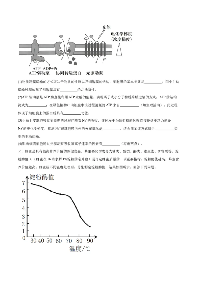专题8酶和ATP（原卷版)_2024年新高考资料_3.2024专项复习_备战2024年高考生物一轮复习重难点专项突破_专题08酶和ATP-备战2024年高考生物一轮复习重难点专项突破