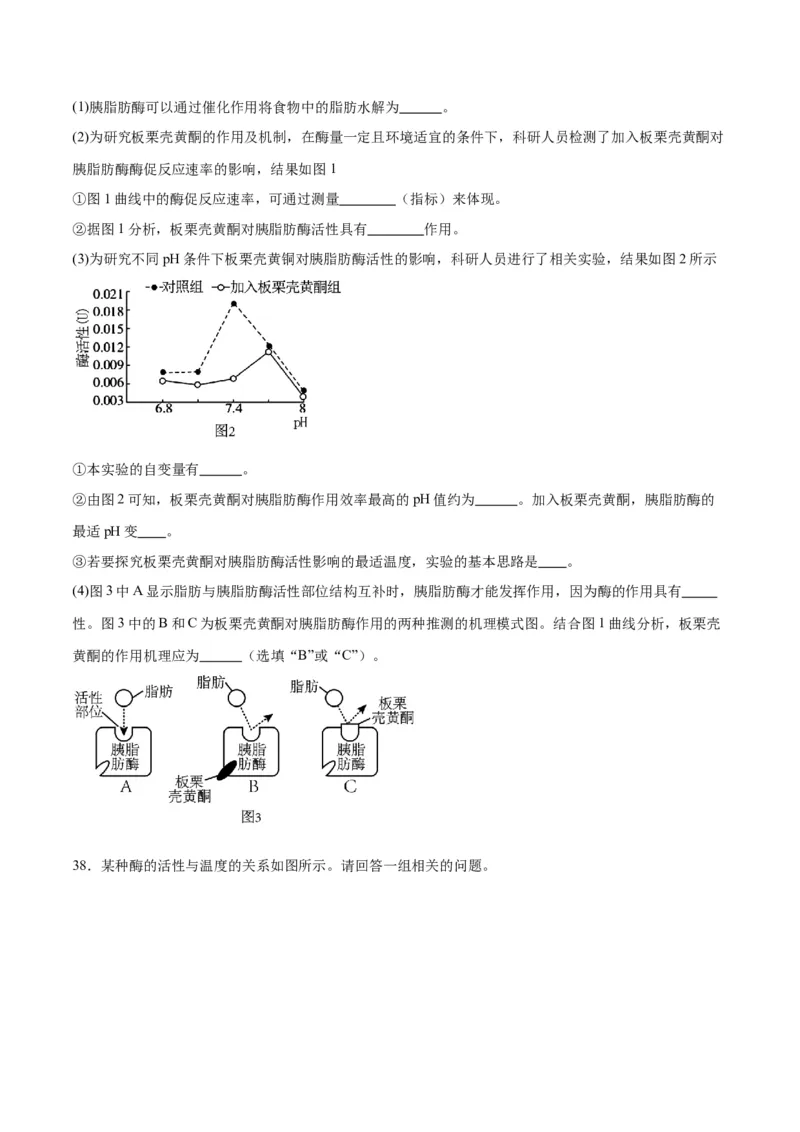 专题8酶和ATP（原卷版)_2024年新高考资料_3.2024专项复习_备战2024年高考生物一轮复习重难点专项突破_专题08酶和ATP-备战2024年高考生物一轮复习重难点专项突破