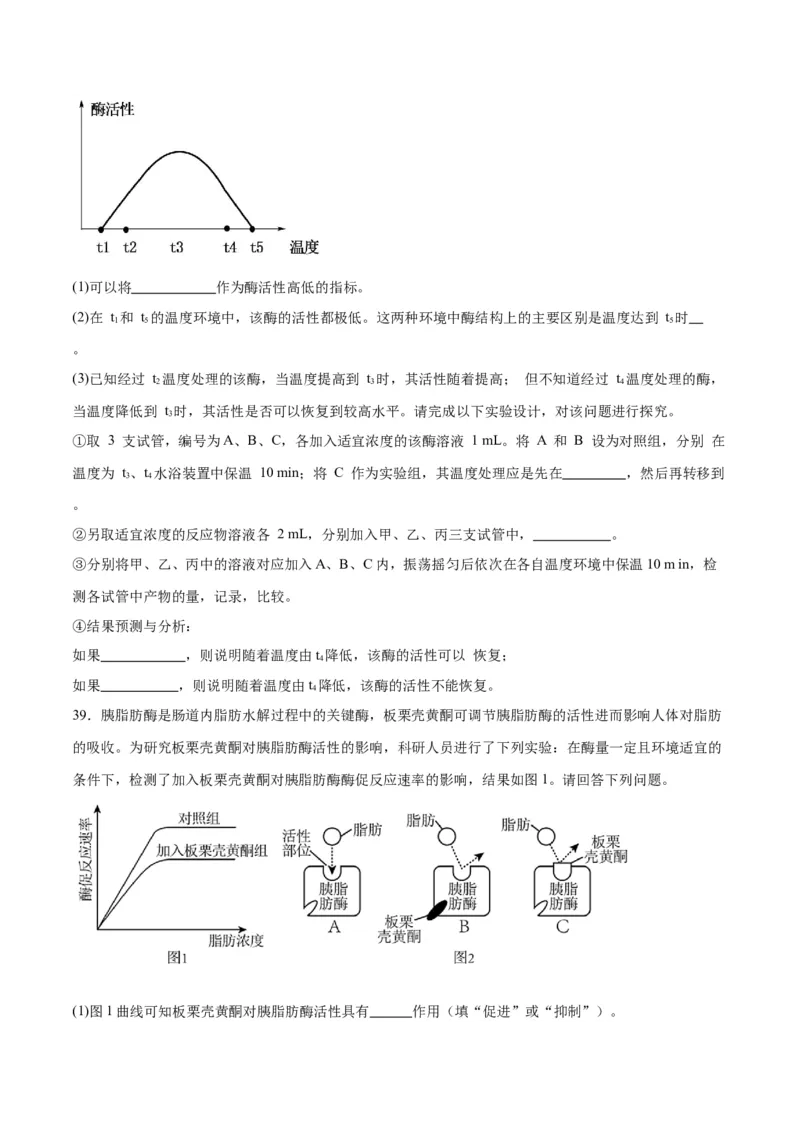 专题8酶和ATP（原卷版)_2024年新高考资料_3.2024专项复习_备战2024年高考生物一轮复习重难点专项突破_专题08酶和ATP-备战2024年高考生物一轮复习重难点专项突破