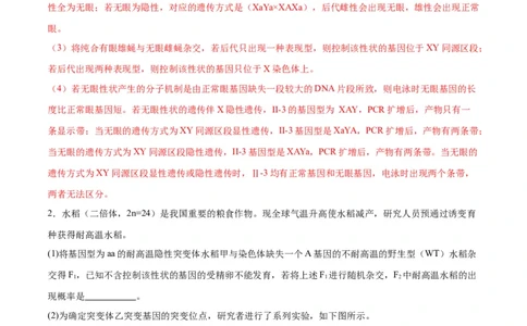 专题19遗传综合实验分析（解析版)_2024年新高考资料_3.2024专项复习_备战2024年高考生物一轮复习重难点专项突破_专题19遗传综合实验分析