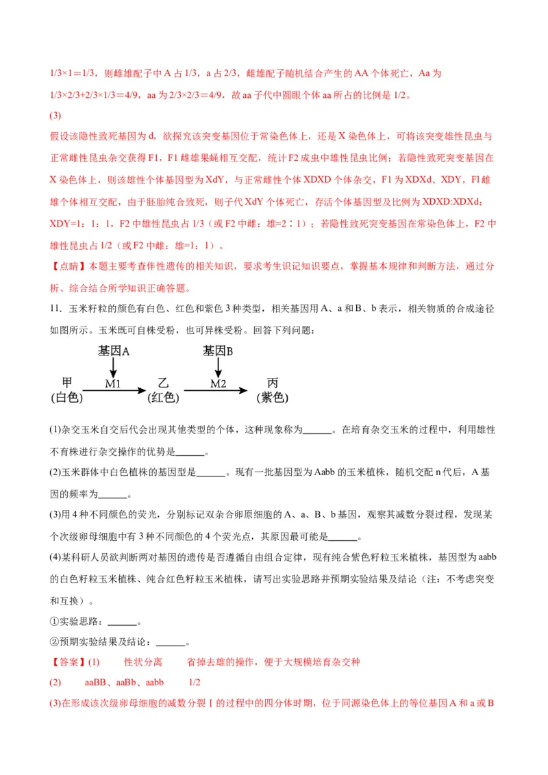 专题19遗传综合实验分析（解析版)_2024年新高考资料_3.2024专项复习_备战2024年高考生物一轮复习重难点专项突破_专题19遗传综合实验分析