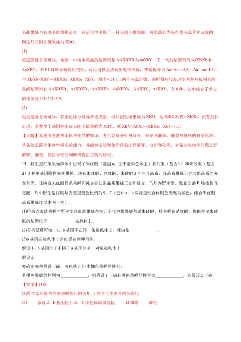 专题19遗传综合实验分析（解析版)_2024年新高考资料_3.2024专项复习_备战2024年高考生物一轮复习重难点专项突破_专题19遗传综合实验分析