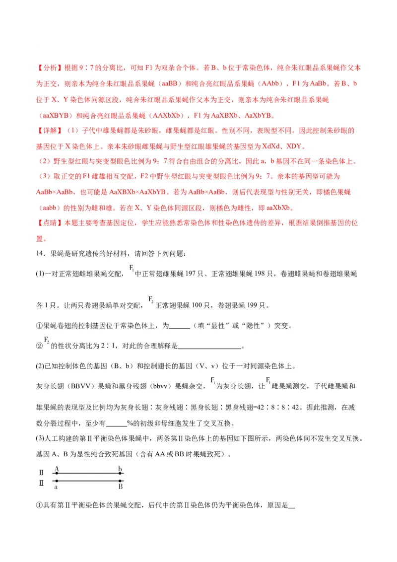 专题19遗传综合实验分析（解析版)_2024年新高考资料_3.2024专项复习_备战2024年高考生物一轮复习重难点专项突破_专题19遗传综合实验分析