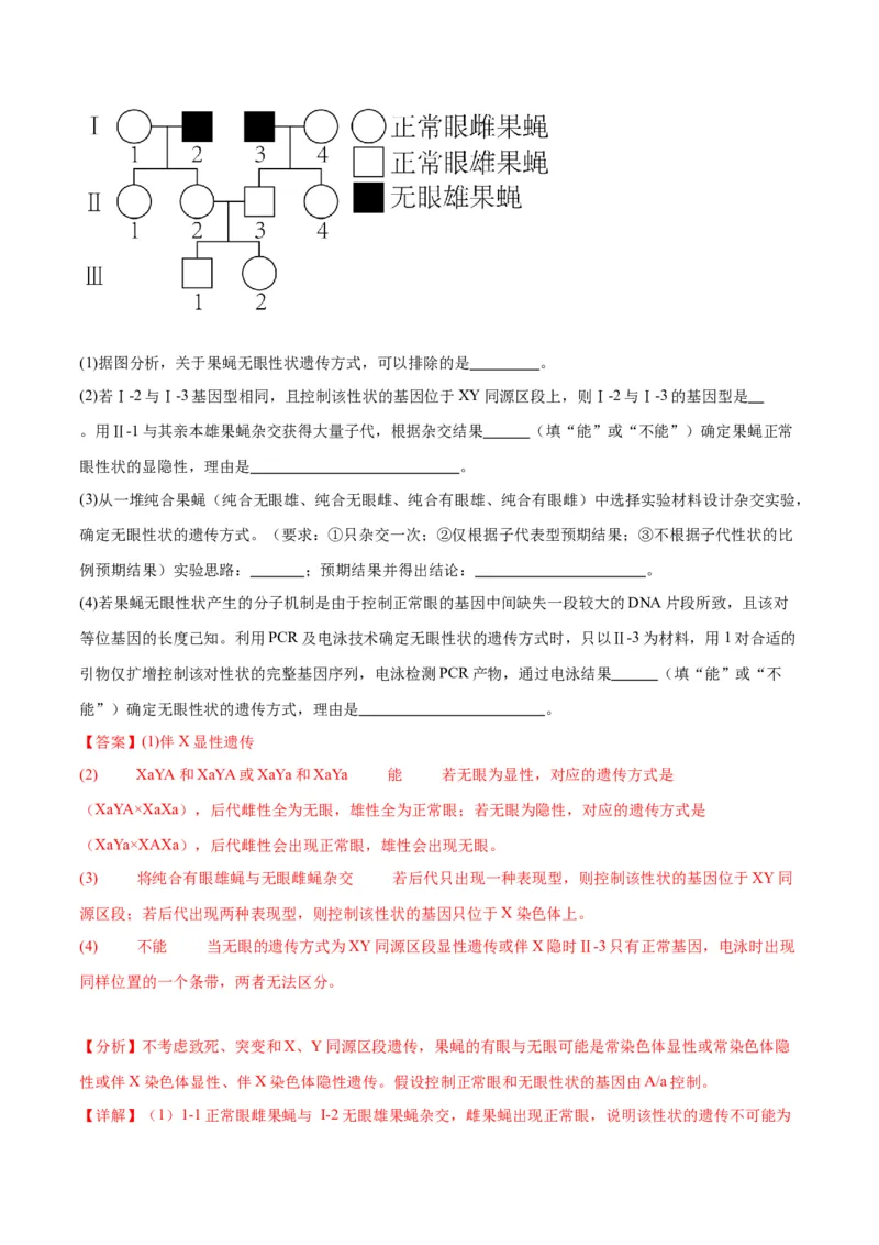 专题19遗传综合实验分析（解析版)_2024年新高考资料_3.2024专项复习_备战2024年高考生物一轮复习重难点专项突破_专题19遗传综合实验分析