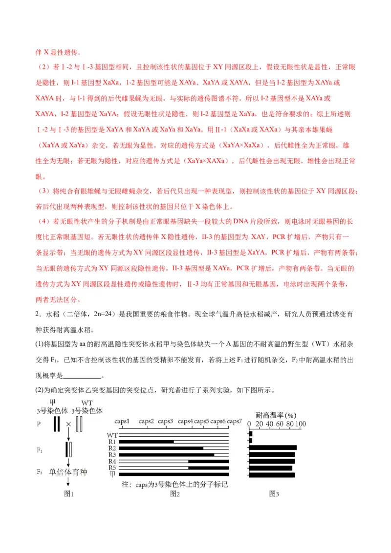 专题19遗传综合实验分析（解析版)_2024年新高考资料_3.2024专项复习_备战2024年高考生物一轮复习重难点专项突破_专题19遗传综合实验分析