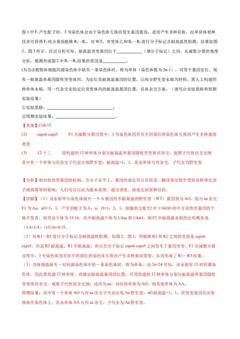 专题19遗传综合实验分析（解析版)_2024年新高考资料_3.2024专项复习_备战2024年高考生物一轮复习重难点专项突破_专题19遗传综合实验分析