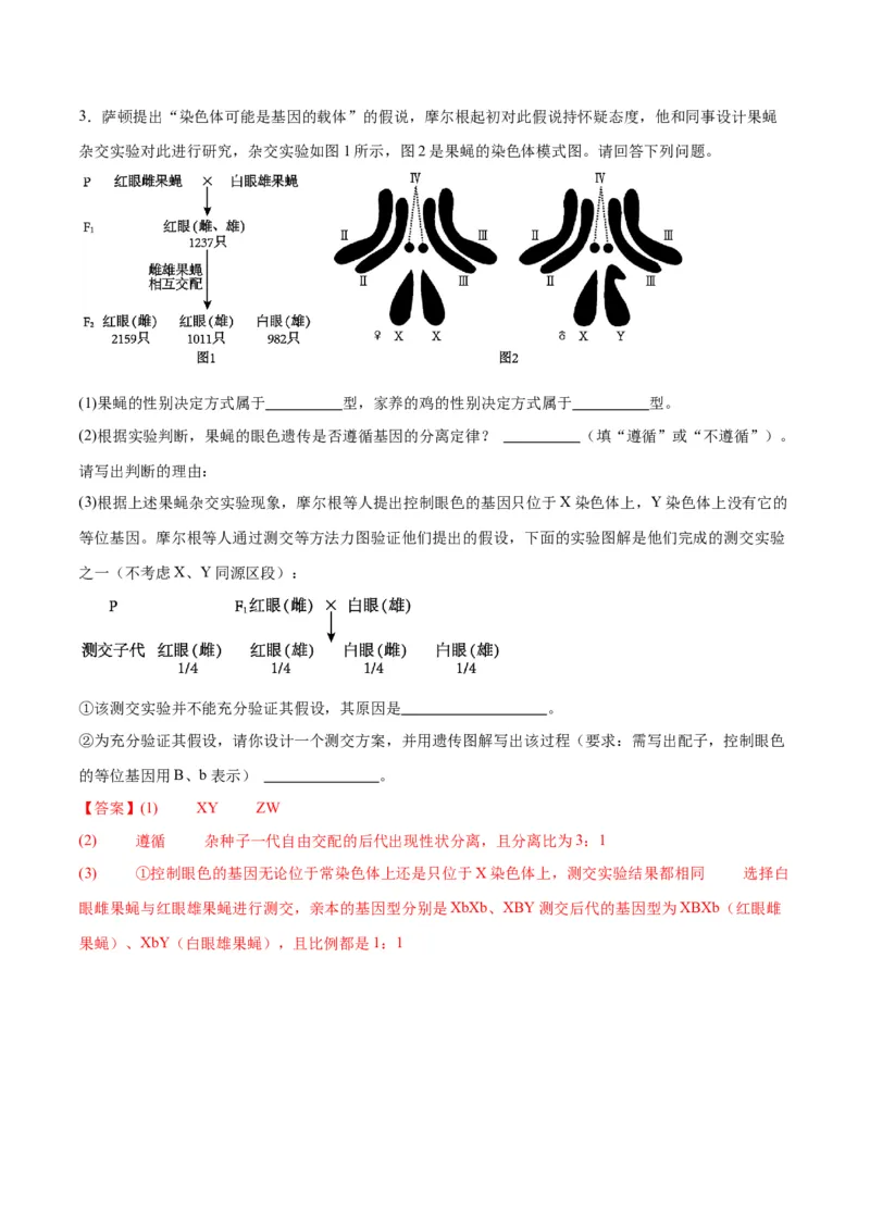 专题19遗传综合实验分析（解析版)_2024年新高考资料_3.2024专项复习_备战2024年高考生物一轮复习重难点专项突破_专题19遗传综合实验分析